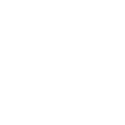 dunlop